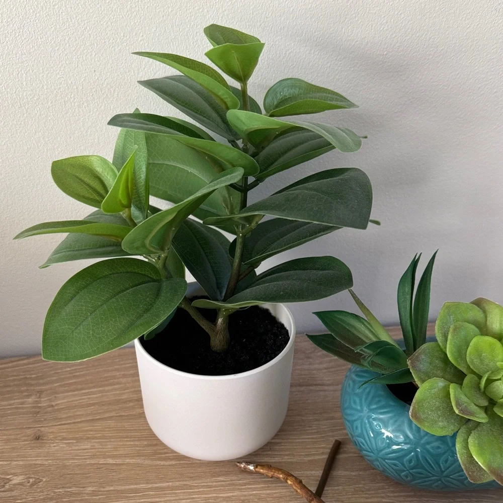 Target Faux Plant + Succulents